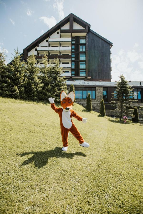 Orea Resort Horizont Sumava Železná Ruda Exteriör bild